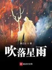 吹落星雨封面