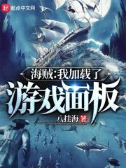 海贼：我加载了游戏面板封面