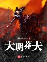 大明莽夫封面
