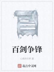 百剑争锋封面
