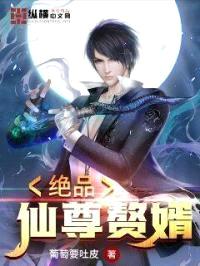 绝品仙尊赘婿封面