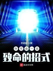 你可会一击致命的招式封面