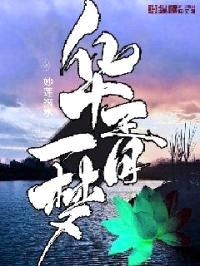 华胥一梦封面