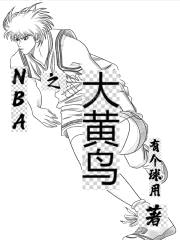 NBA之大黄鸟封面