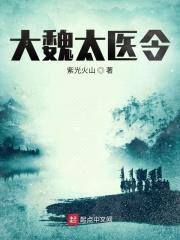 大魏太医令封面
