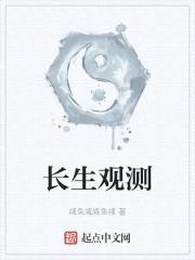 长生观测封面