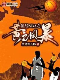 征战NBA之黄色风暴封面
