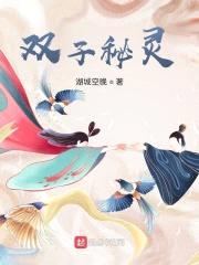 双子秘灵封面