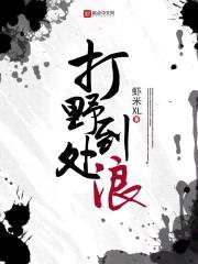 打野到处浪封面