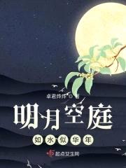 明月空庭如水似华年封面