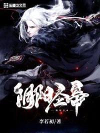 阴阳圣帝封面