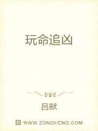 玩命追凶封面