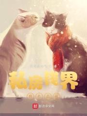 私房钱游戏封面