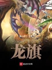 于新世界高举龙旗封面