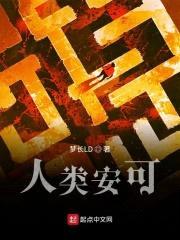 人类安可封面