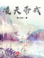 凌天帝戒封面