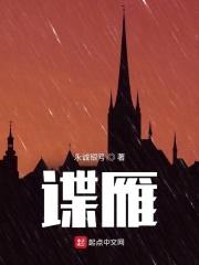 谍雁封面