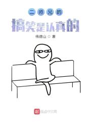二师兄的梗是认真的封面