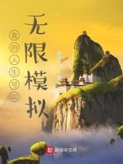 我的人生可以无限模拟封面