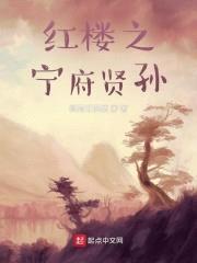 红楼之宁府贤孙封面