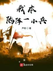 我本陷阵一小兵封面
