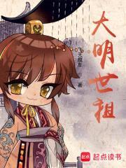 大明世祖封面