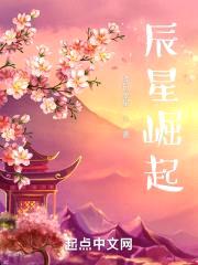神斗大陆：崛起封面