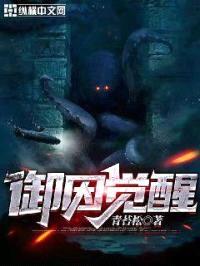 御因觉醒封面