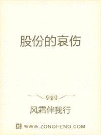 股份的哀伤封面