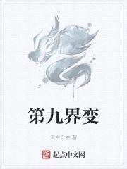 第九界变封面