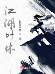 江湖叶休封面