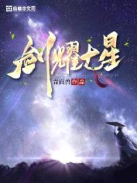 剑耀七星封面