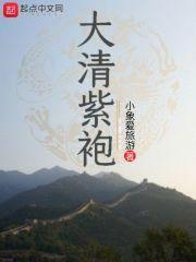 大清紫袍封面
