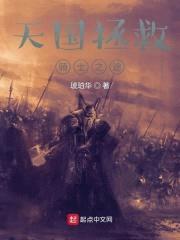 天国拯救：骑士之途封面