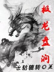 极龙盘涧封面