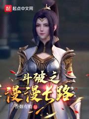 斗破之漫漫长路封面