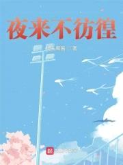 夜来不彷徨封面