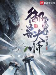 武器系御兽大师封面