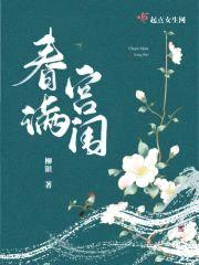 春满宫闱封面