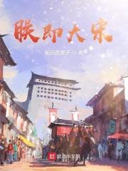 朕即大宋封面