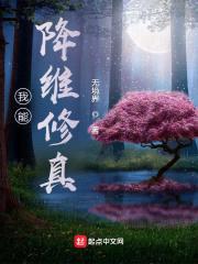 我能降维修真封面
