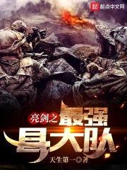 亮剑之最强县大队封面