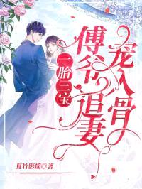 一胎三宝：傅爷，追妻宠入骨封面
