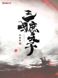 三国庶天子封面