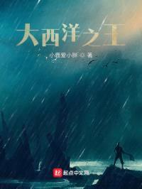 大西洋之王封面