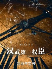 汉武第一权臣封面