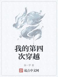 我的第四次穿越封面