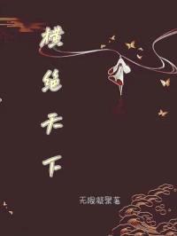 横绝天下封面