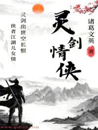灵剑情侠封面