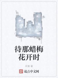 待那蜡梅花开时封面